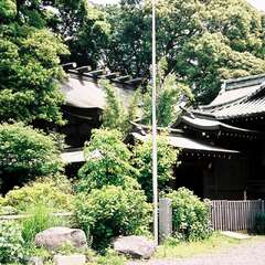 投稿日:2025年9月6日 写真