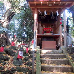 投稿日:2021年11月29日 写真