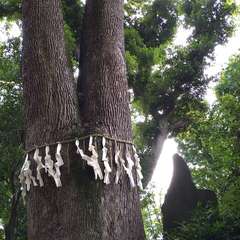 投稿日:2022年6月13日 写真