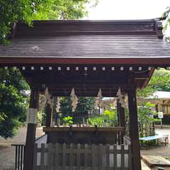 投稿日:2022年6月13日 写真