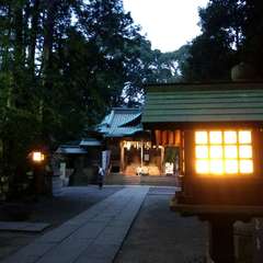 投稿日:2019年8月19日 写真