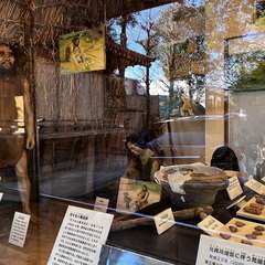 投稿日:2024年1月27日 写真