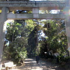 投稿日:2021年11月29日 写真