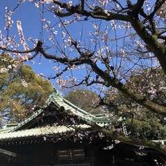 投稿日:2020年3月12日 写真