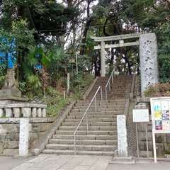 投稿日:2019年3月1日 写真