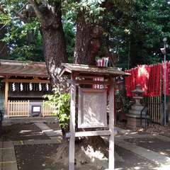 投稿日:2022年6月13日 写真