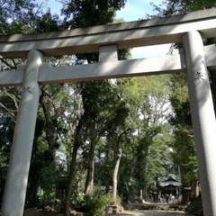 投稿日:2019年10月1日 写真