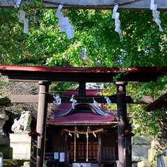 写真