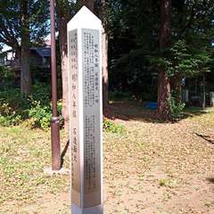 投稿日:2020年9月6日 写真