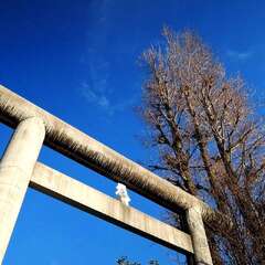 投稿日:2025年2月2日 写真