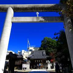 投稿日:2025年2月2日 写真