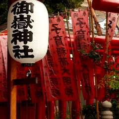 投稿日:2025年2月2日 写真