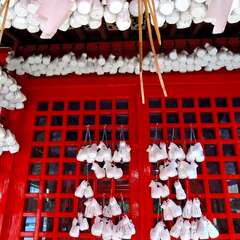 投稿日:2025年2月2日 写真