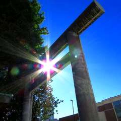 投稿日:2025年2月2日 写真