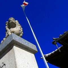 投稿日:2025年2月2日 写真