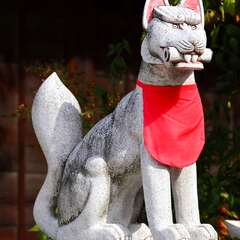 投稿日:2025年2月2日 写真