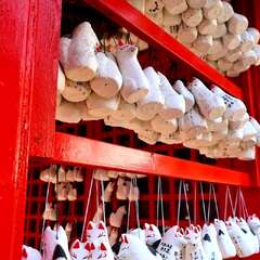 投稿日:2025年2月2日 写真