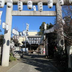 投稿日:2021年2月4日 写真