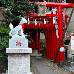 投稿日:2025年2月2日 写真