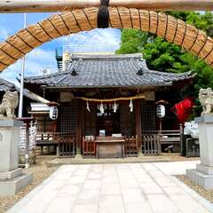 投稿日:2025年2月2日 写真