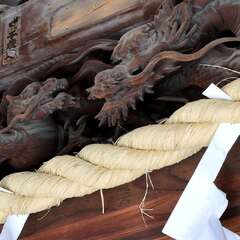 投稿日:2025年2月2日 写真