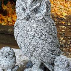 投稿日:2025年2月2日 写真