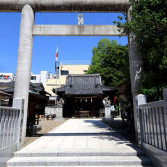 投稿日:2025年2月2日 写真