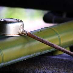 投稿日:2025年2月2日 写真