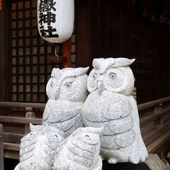 投稿日:2025年2月2日 写真