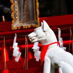 投稿日:2025年2月2日 写真