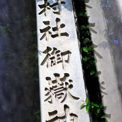 投稿日:2025年2月2日 写真