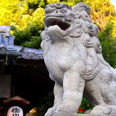 投稿日:2025年2月2日 写真