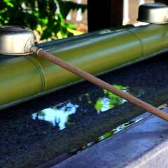 投稿日:2025年2月2日 写真