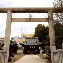 投稿日:2025年2月2日 写真