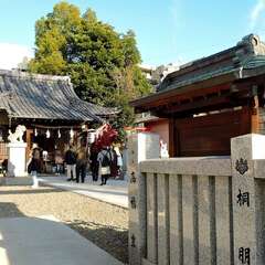 投稿日:2025年2月2日 写真