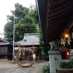 投稿日:2019年6月22日 写真