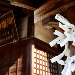 投稿日:2025年2月2日 写真