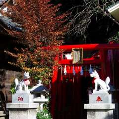 投稿日:2025年2月2日 写真