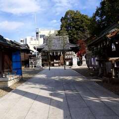 投稿日:2025年2月2日 写真