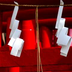 投稿日:2025年2月2日 写真