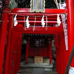 投稿日:2025年2月2日 写真