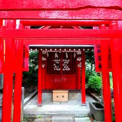 投稿日:2025年2月2日 写真