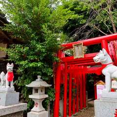 投稿日:2025年2月2日 写真