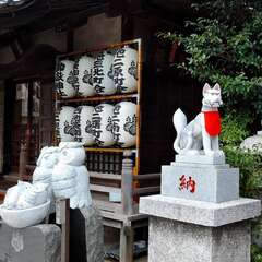 投稿日:2025年2月2日 写真