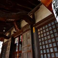 投稿日:2025年2月2日 写真