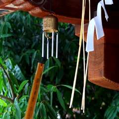 投稿日:2025年2月2日 写真