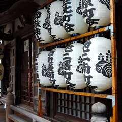 投稿日:2025年2月2日 写真