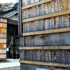 投稿日:2025年2月2日 写真