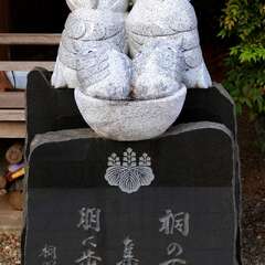 投稿日:2025年2月2日 写真