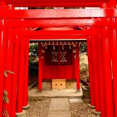 投稿日:2025年2月2日 写真